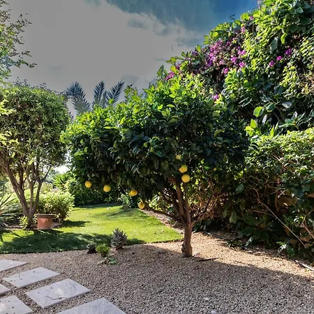 Casa Higuera Ξενοδοχείο Mutxamel